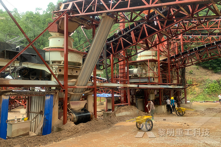 Expected Sale Growth Of Maize Grinding Mill 
