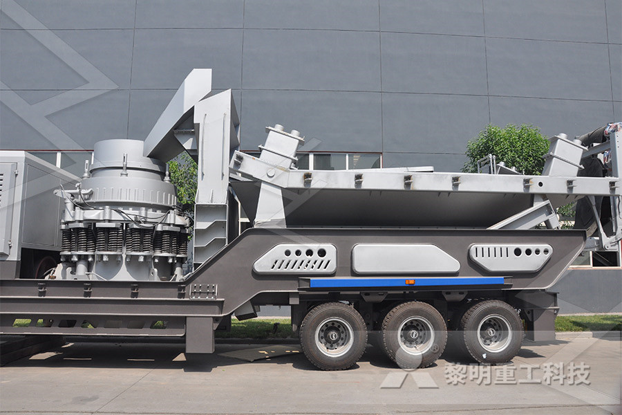 biomass  burner for cement plant